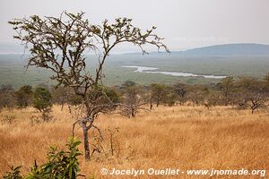 Parc national de l'Akagera - Rwanda