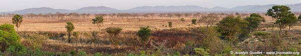 Parc national de Katavi - Tanzanie