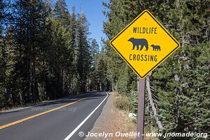 Parc national de Yosemite - Californie - États-Unis