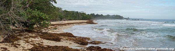 Red Frog Beach - Isla Bastimentos - Archipel de Bocas del Toro - Panama
