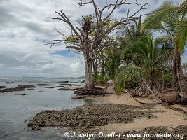 Isla Colón - Archipel de Bocas del Toro - Panama