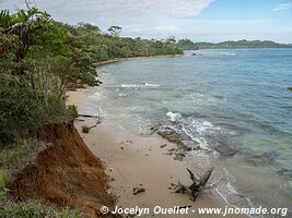 Isla Bastimentos - Archipel de Bocas del Toro - Panama