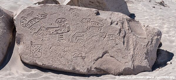 Toro Muerto Petroglyphs - Peru