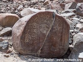 Pétroglyphes Etapas de la Vida - Palpa - Pérou
