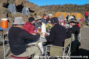 Parc national du Kilimandjaro - Tanzanie