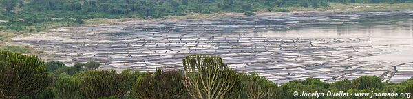 Queen Elizabeth National Park - Uganda