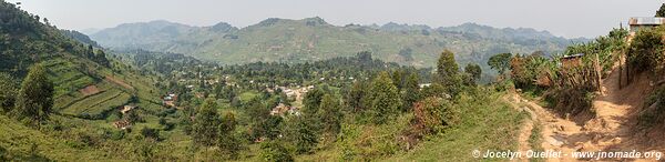 Autour de la forêt impénétable de Bwindi - Ouganda