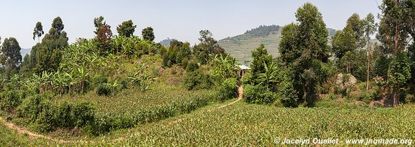 Around Bwindi Impenetrable Forest - Uganda