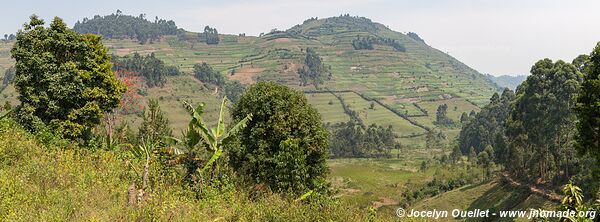 Autour de la forêt impénétable de Bwindi - Ouganda