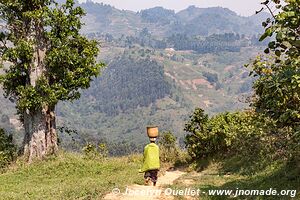 Autour de la forêt impénétable de Bwindi - Ouganda