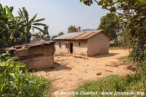 Autour de la forêt impénétable de Bwindi - Ouganda