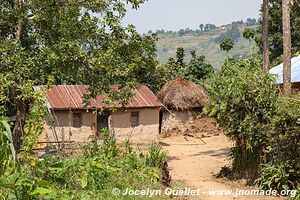 Autour de la forêt impénétable de Bwindi - Ouganda