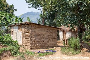 Autour de la forêt impénétable de Bwindi - Ouganda