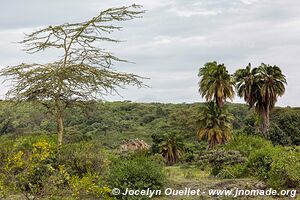 Parc national d'Arusha - Tanzanie