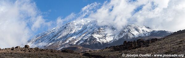 Parc national du Kilimandjaro - Tanzanie