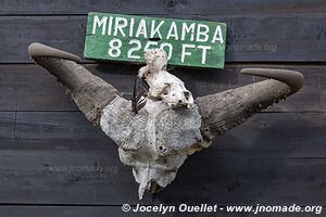 Arusha National Park - Tanzania