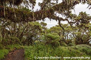 Parc national d'Arusha - Tanzanie