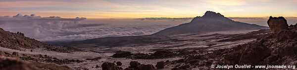 Parc national du Kilimandjaro - Tanzanie