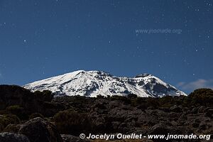 Parc national du Kilimandjaro - Tanzanie