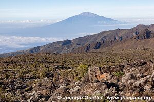 Parc national du Kilimandjaro - Tanzanie