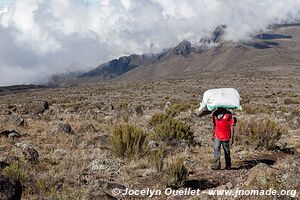 Kilimanjaro National Park - Tanzania