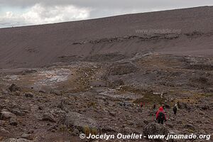 Parc national du Kilimandjaro - Tanzanie