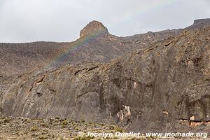 Parc national du Kilimandjaro - Tanzanie