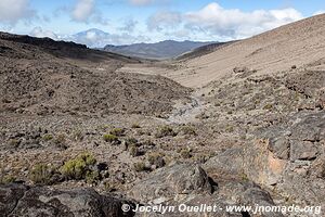 Kilimanjaro National Park - Tanzania