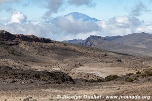 Parc national du Kilimandjaro - Tanzanie