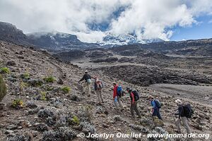 Kilimanjaro National Park - Tanzania