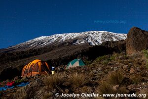 Parc national du Kilimandjaro - Tanzanie