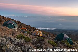 Parc national du Kilimandjaro - Tanzanie