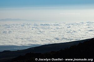 Parc national du Kilimandjaro - Tanzanie