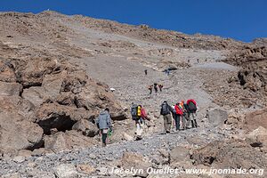 Parc national du Kilimandjaro - Tanzanie