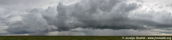 Serengeti National Park - Tanzania