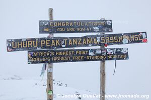 Parc national du Kilimandjaro - Tanzanie