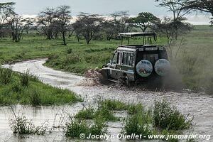 Parc national du Serengeti - Tanzanie