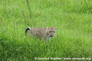 Serengeti National Park - Tanzania