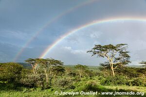 Parc national du Serengeti - Tanzanie