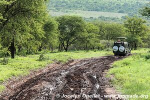 Parc national du Serengeti - Tanzanie