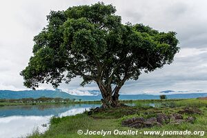 Aire de conservation du Ngorongoro - Tanzanie