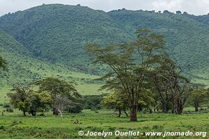 Aire de conservation du Ngorongoro - Tanzanie