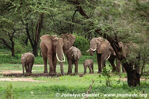 Manyara National Park - Tanzania