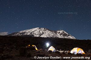 Parc national du Kilimandjaro - Tanzanie