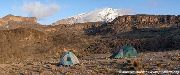 Parc national du Kilimandjaro - Tanzanie