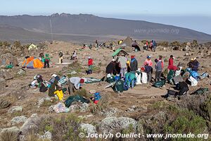 Parc national du Kilimandjaro - Tanzanie