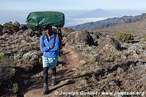 Parc national du Kilimandjaro - Tanzanie