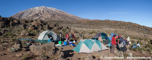 Parc national du Kilimandjaro - Tanzanie