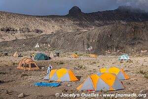 Parc national du Kilimandjaro - Tanzanie