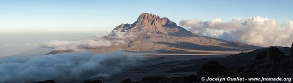 Parc national du Kilimandjaro - Tanzanie